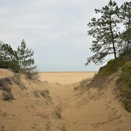 Welcoming Flat In A Peaceful Area Of Lignano 公寓